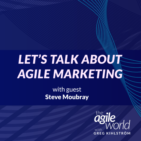 141: #141: Let’s talk about Agile Marketing with Steve Moubray