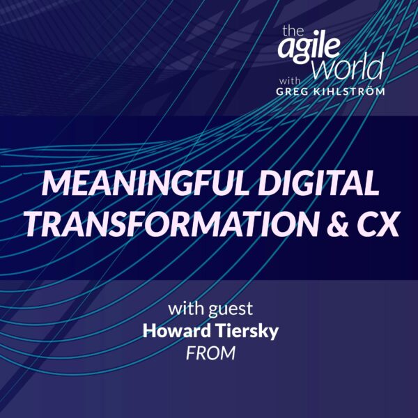 159: #159: Meaningful Digital Transformation & CX with Howard Tiersky, FROM Digital Transformation Agency