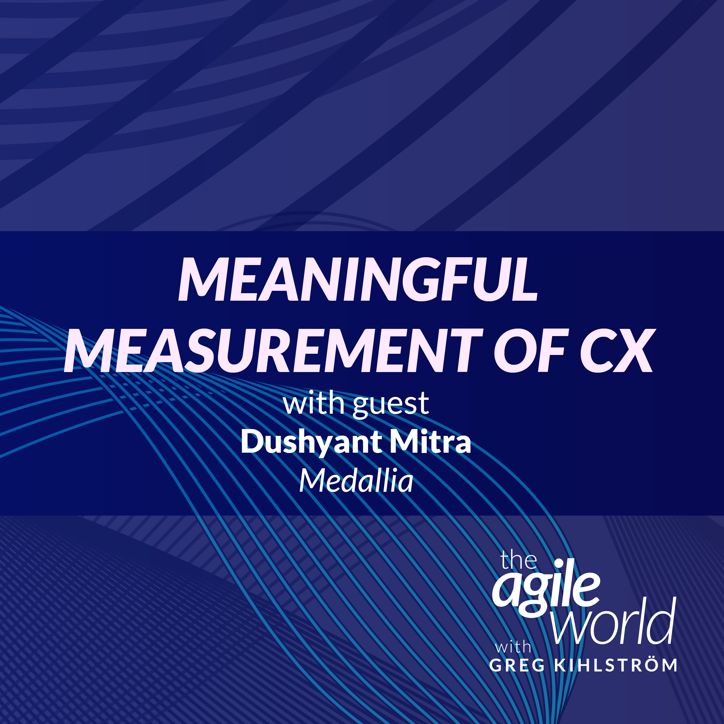 174: #174: Meaningful Measurement of Customer Experience with Dushyant Mitra,&hellip;