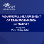179: #179: Meaningful measurement of transformation initiatives with Peter McCoy, Baton