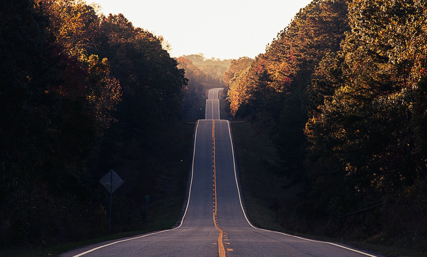 Strategic Roadmap