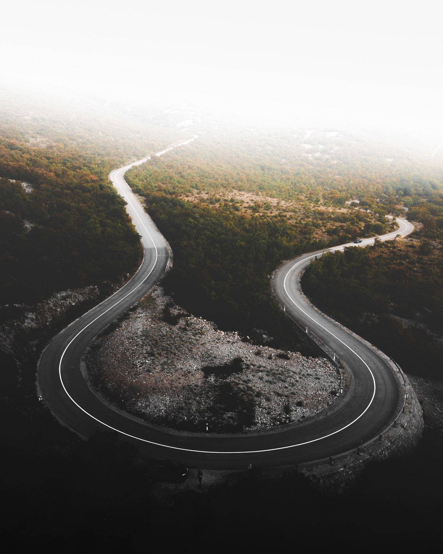 Strategic Roadmap