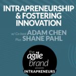386: #386: Intrapreneurship and fostering innovation from within, with Shane Pahl