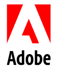 Adobe Real-Time CDP