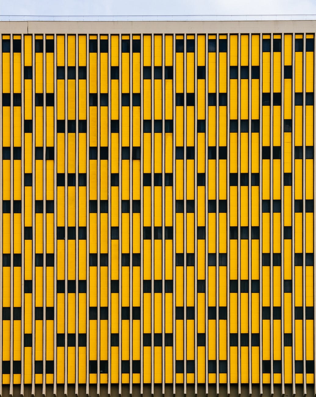 yellow and black pattern