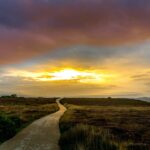 CustomerThink: Increasing customer engagement through the power of participation