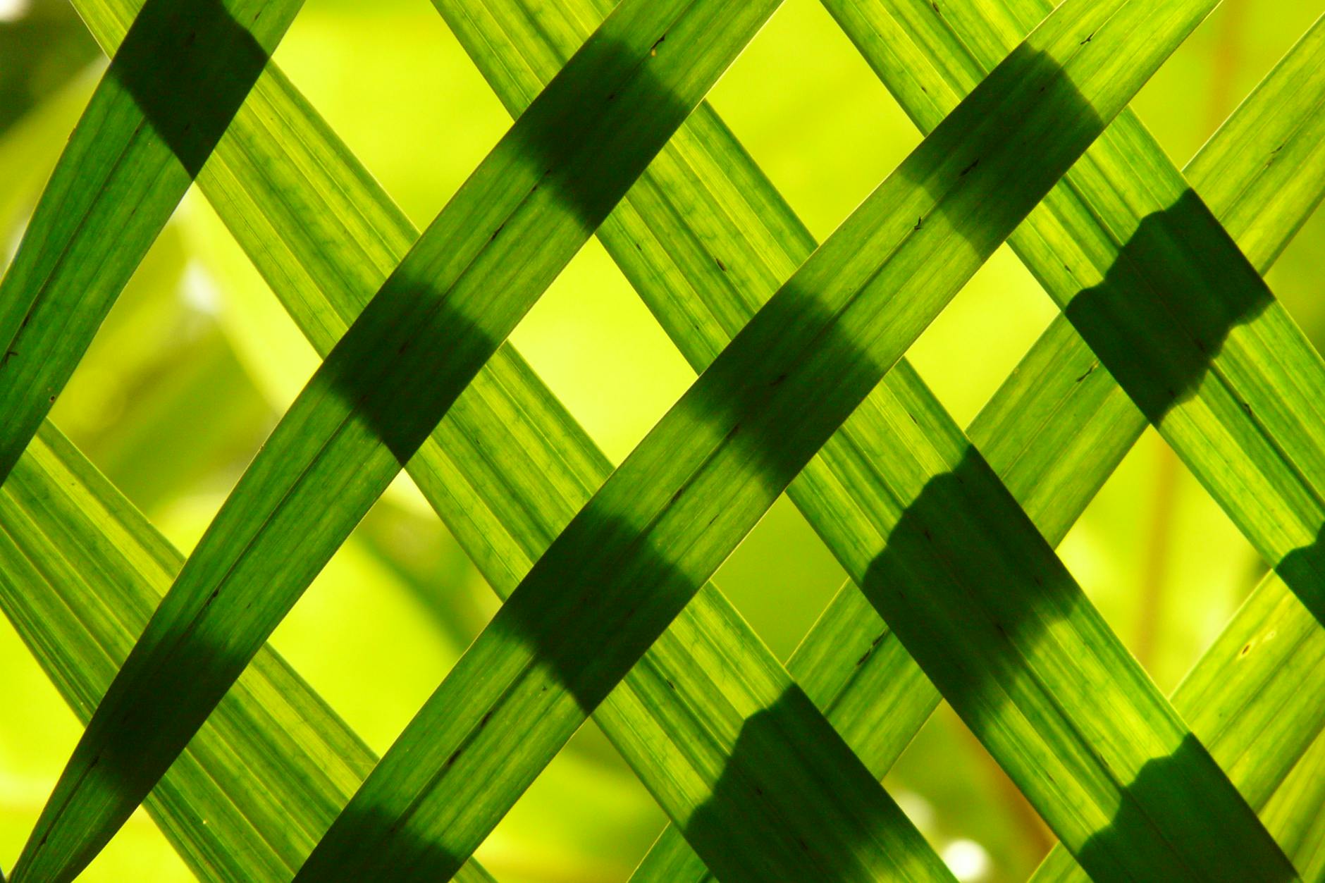 green woven frame