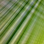 abstract green background with crossing lines