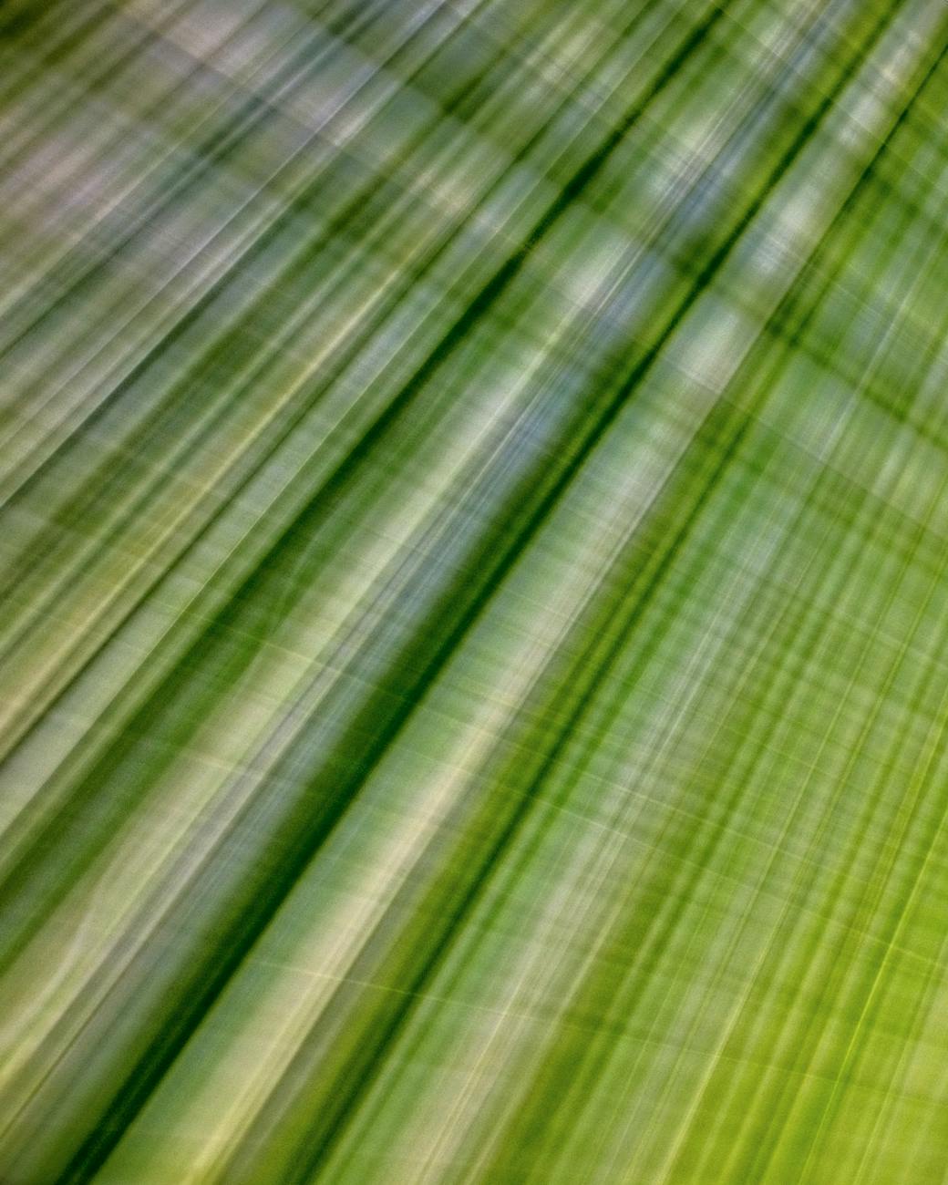abstract green background with crossing lines
