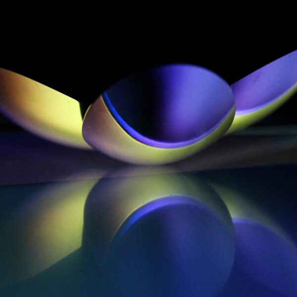 abstract shape of lotus flower