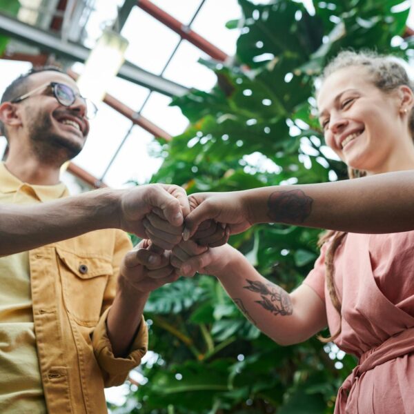 photo of people having fist bump