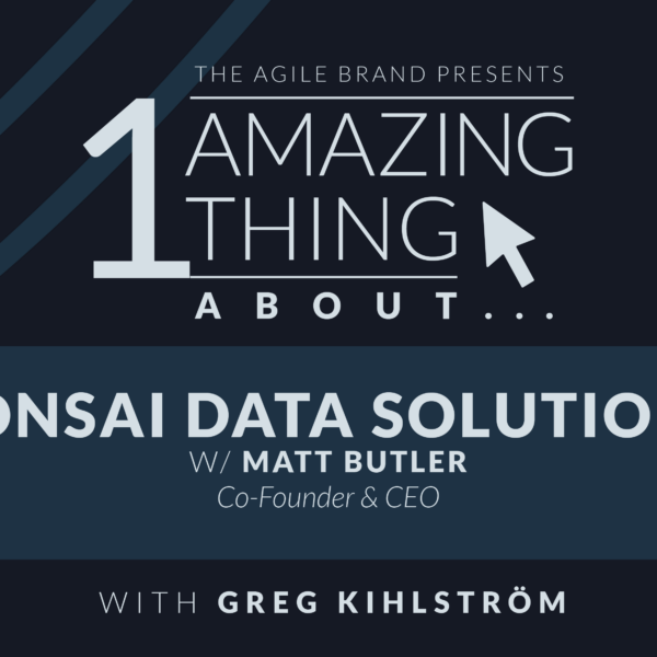One Amazing Thing About Bonsai Data Solutions