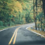 asphalt road between trees