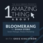 One Amazing Thing About Bloomerang