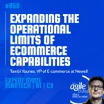 #850: Newell VP of E-commerce Tambi Younes on expanding the operational limits of ecommerce capabilities