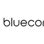 Blueconic logo