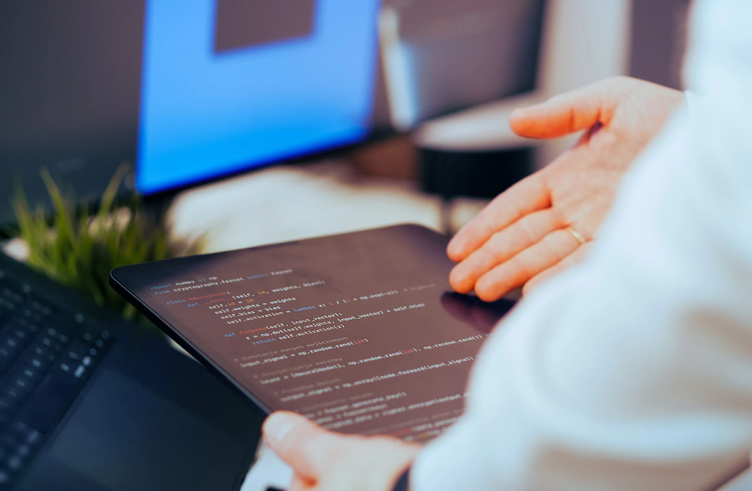 Customer software development